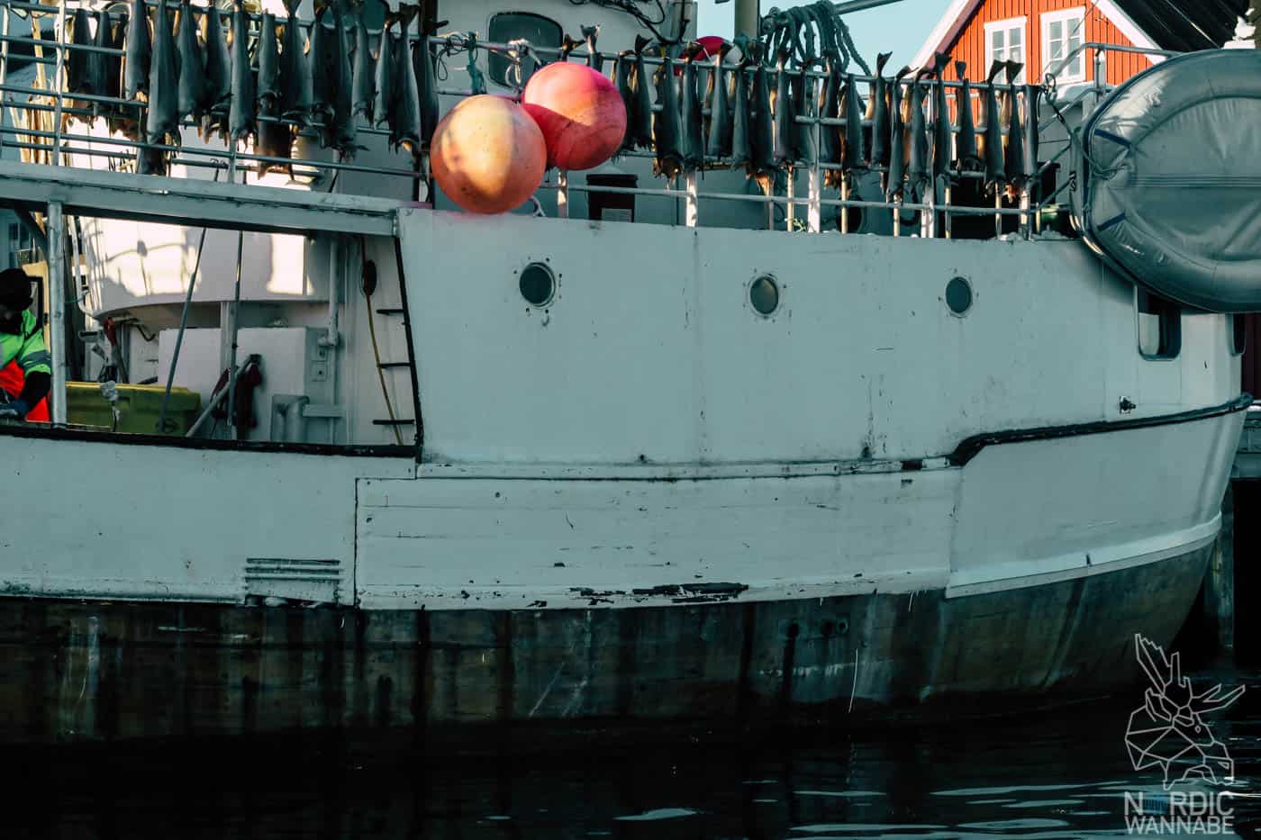 Lofoten, Skrei, Norwegen