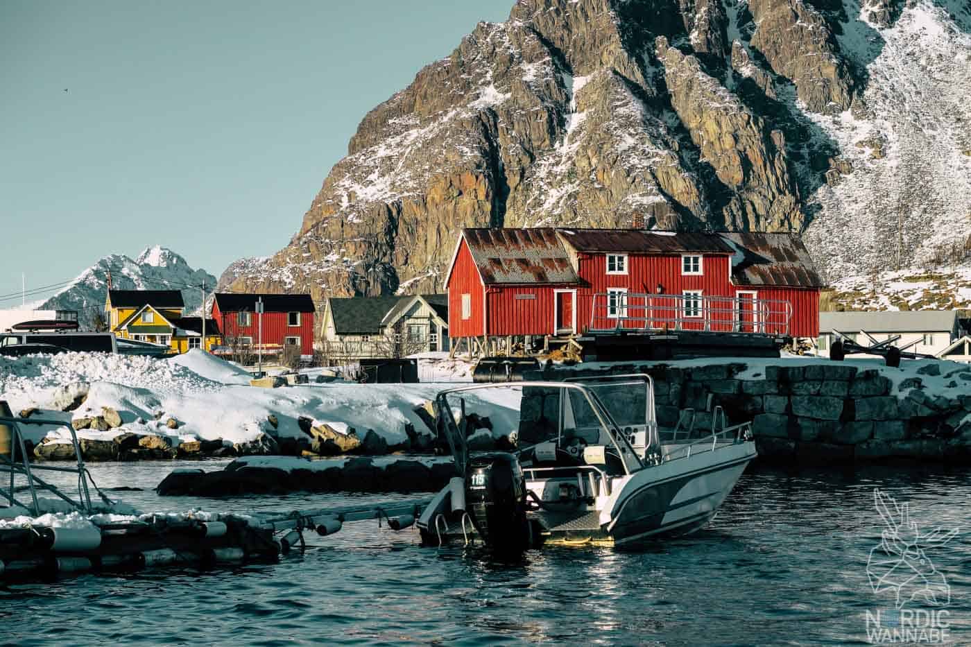 Lofoten, Skrei, Norwegen