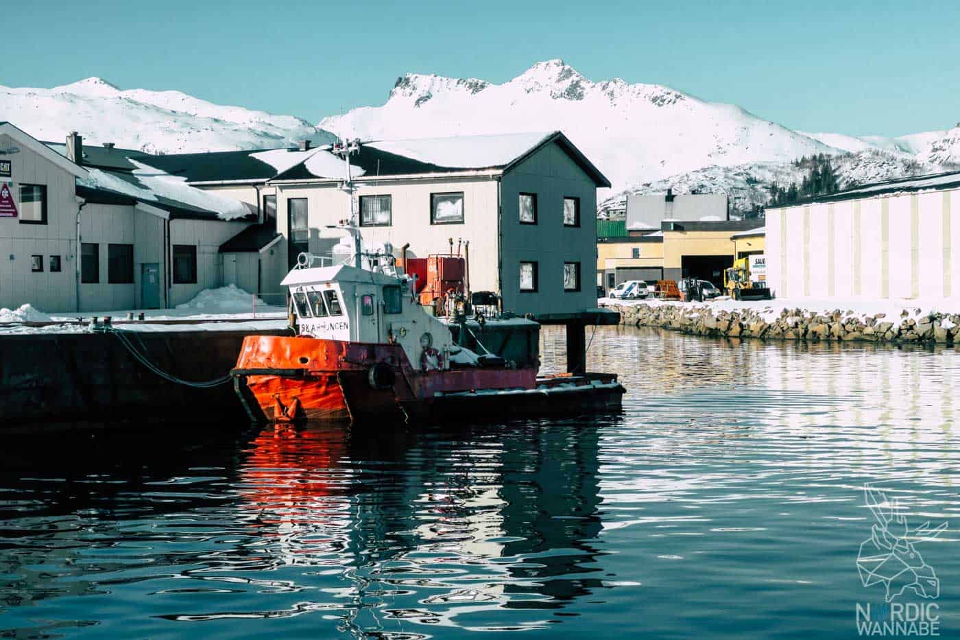 Lofoten, Skrei, Norwegen