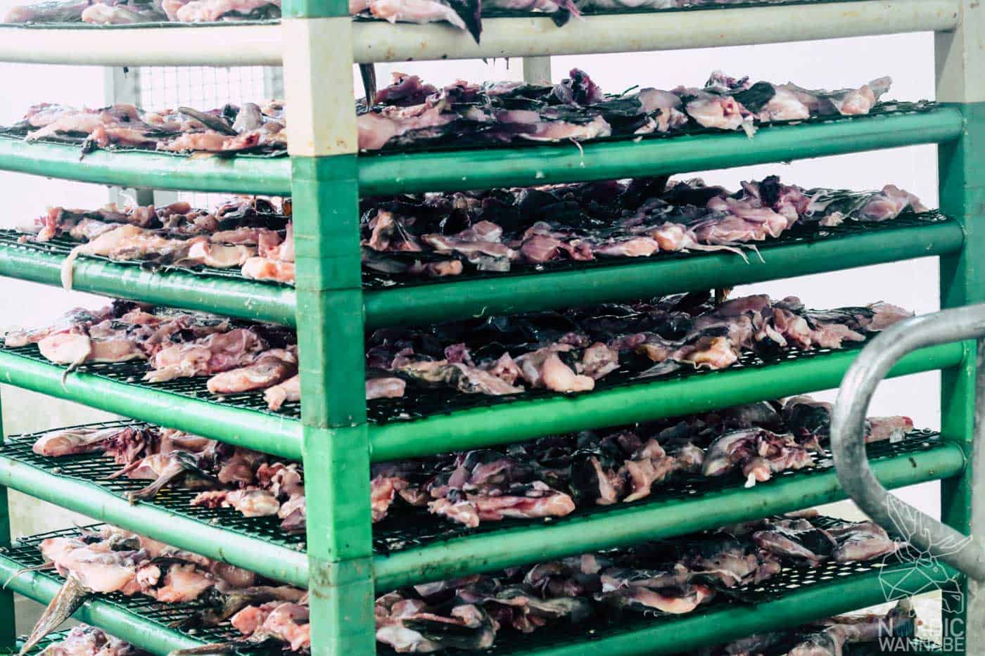 Lofoten, Skrei, Norwegen