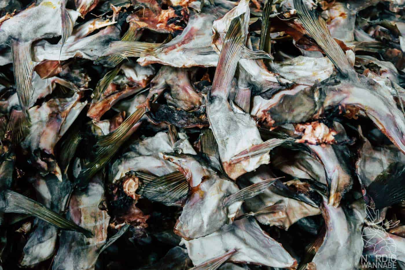 Lofoten, Skrei, Norwegen