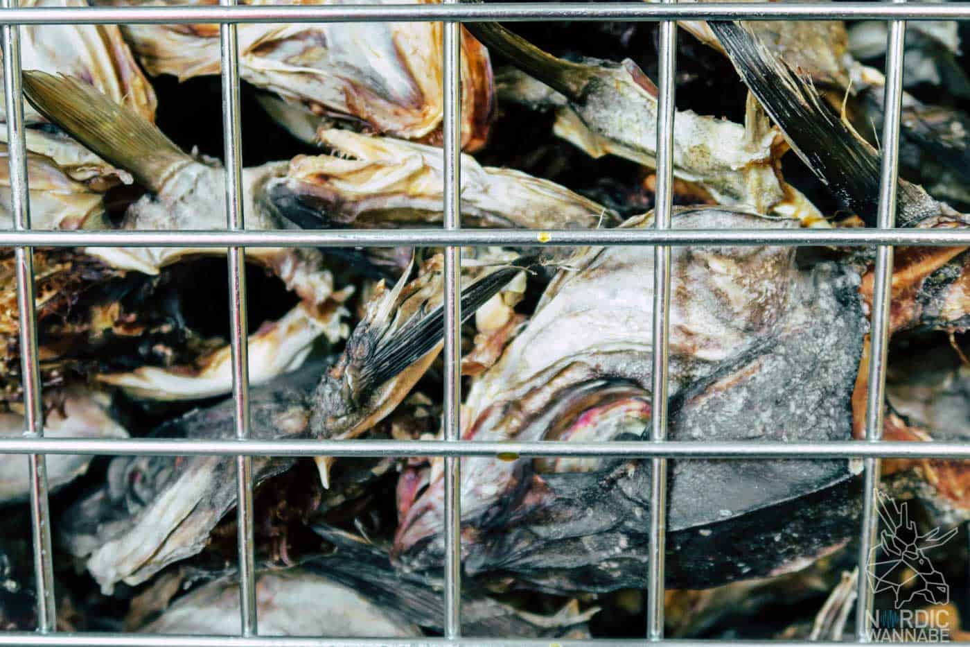 Lofoten, Skrei, Norwegen