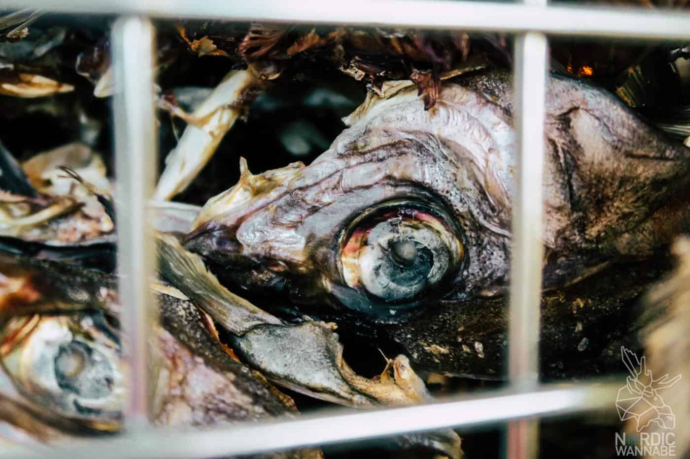 Lofoten, Skrei, Norwegen