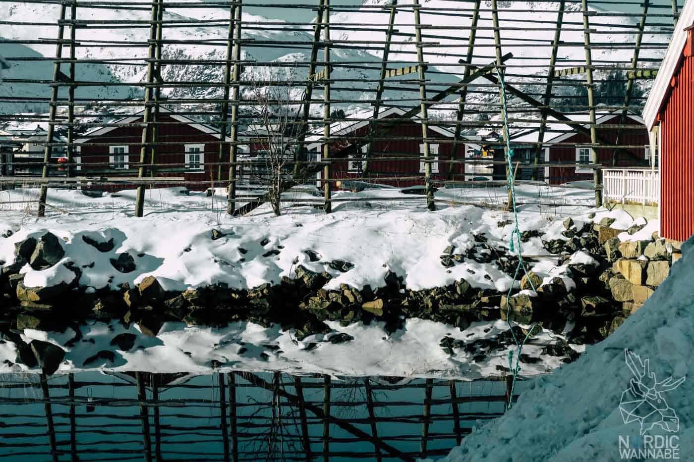 Lofoten, Skrei, Norwegen
