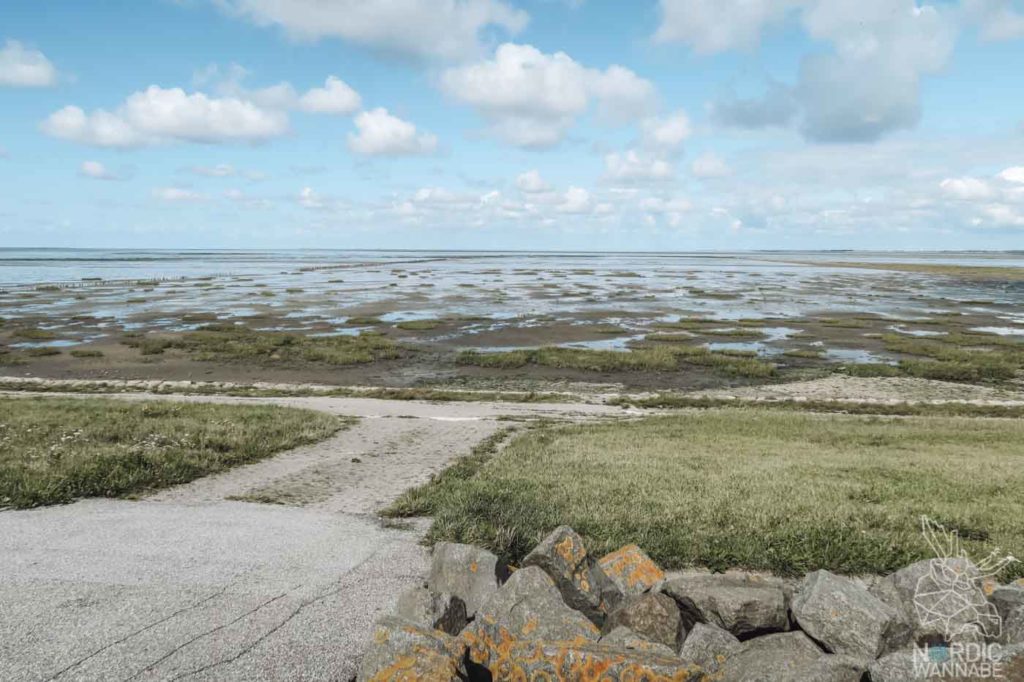 Rømø, Ribe, Vejers Strand Camping, dänische Nordsee Insel, Dänemark, Camping