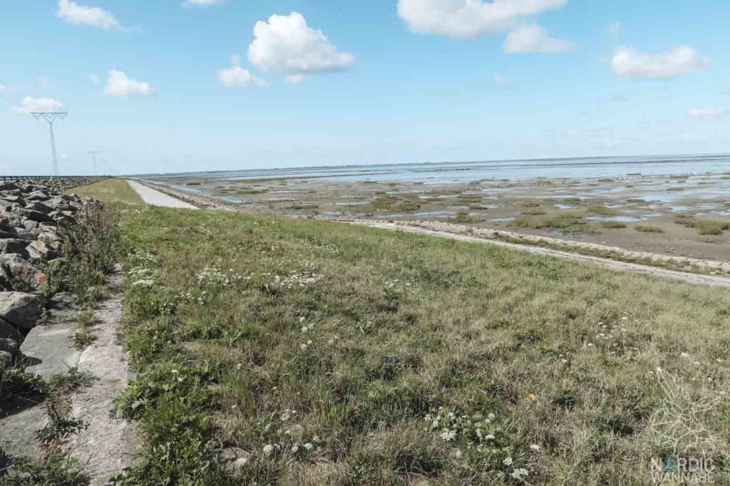 Rømø, Ribe, Vejers Strand Camping, dänische Nordsee Insel, Dänemark, Camping