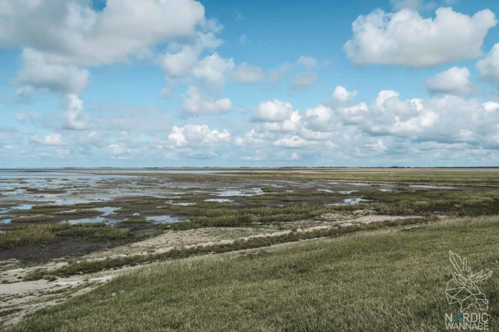 Rømø, Ribe, Vejers Strand Camping, dänische Nordsee Insel, Dänemark, Camping