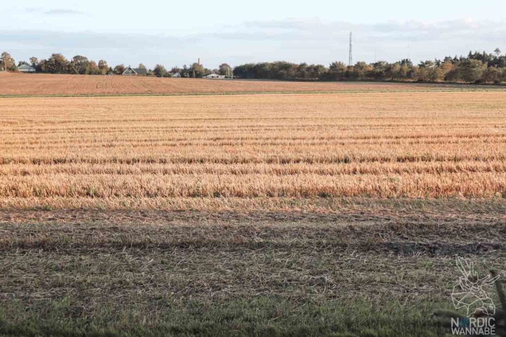 Camping in Dänemark, Camping Dänemark Nordsee, Campingplatz Dänemark, Wohnmobilstellplätze in Dänemark, Camping Dänemark Ostsee, Camping Dänemark Strand