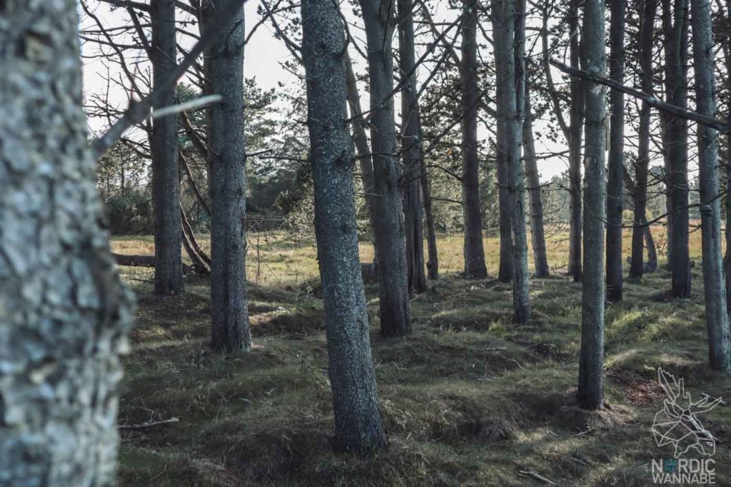 Camping in Dänemark, Camping Dänemark Nordsee, Campingplatz Dänemark, Wohnmobilstellplätze in Dänemark, Camping Dänemark Ostsee, Camping Dänemark Strand