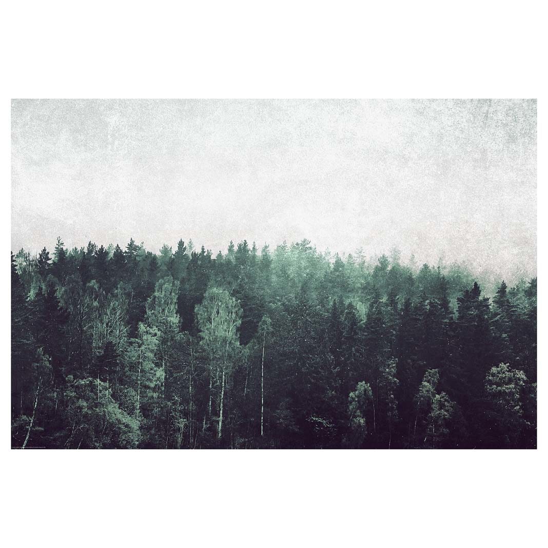 Pflanzen Bilder, Skandinavisch Wohnen