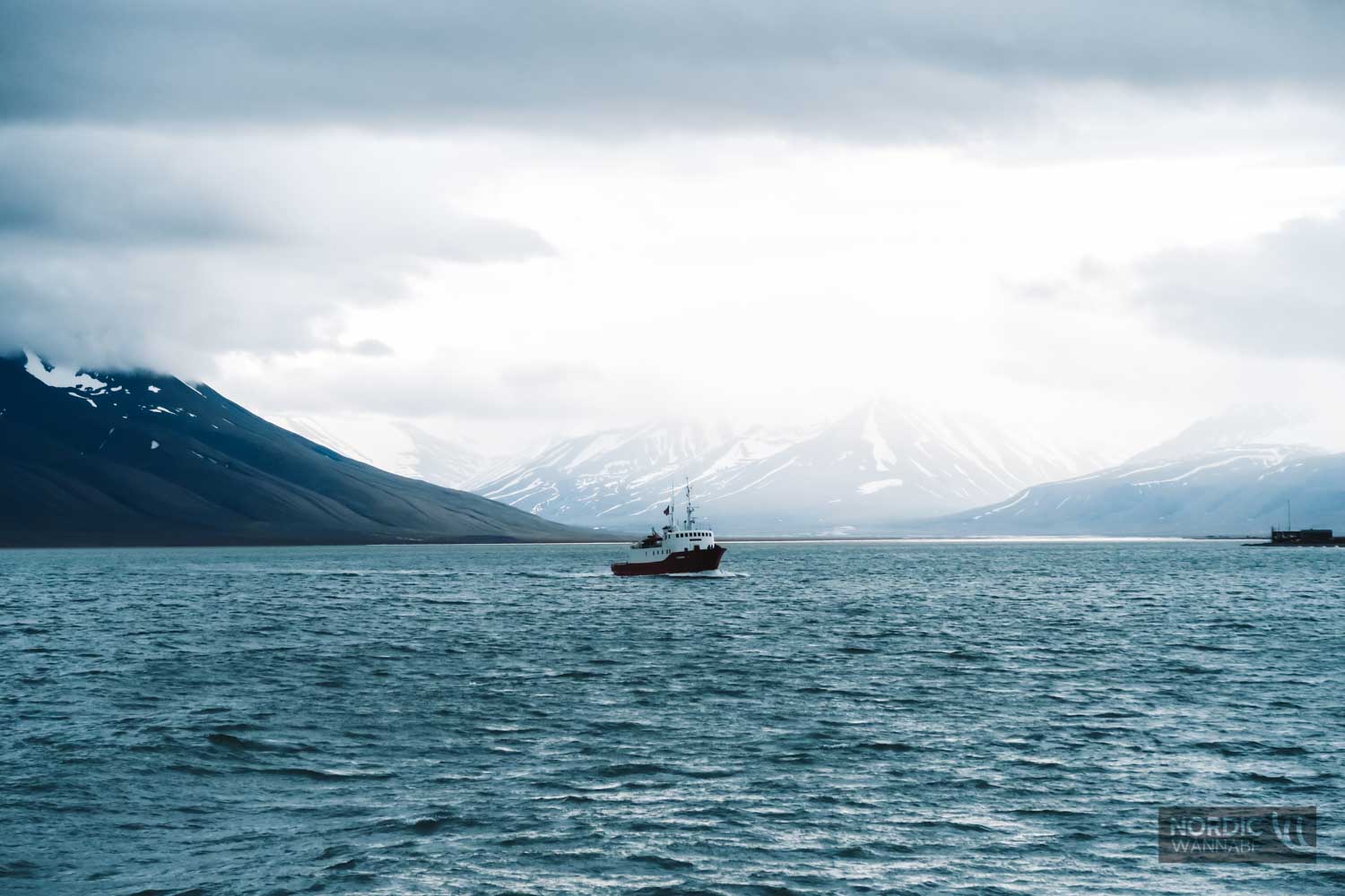 Spitzbergen AIDA Kreuzfahrtschiff Erfahrung