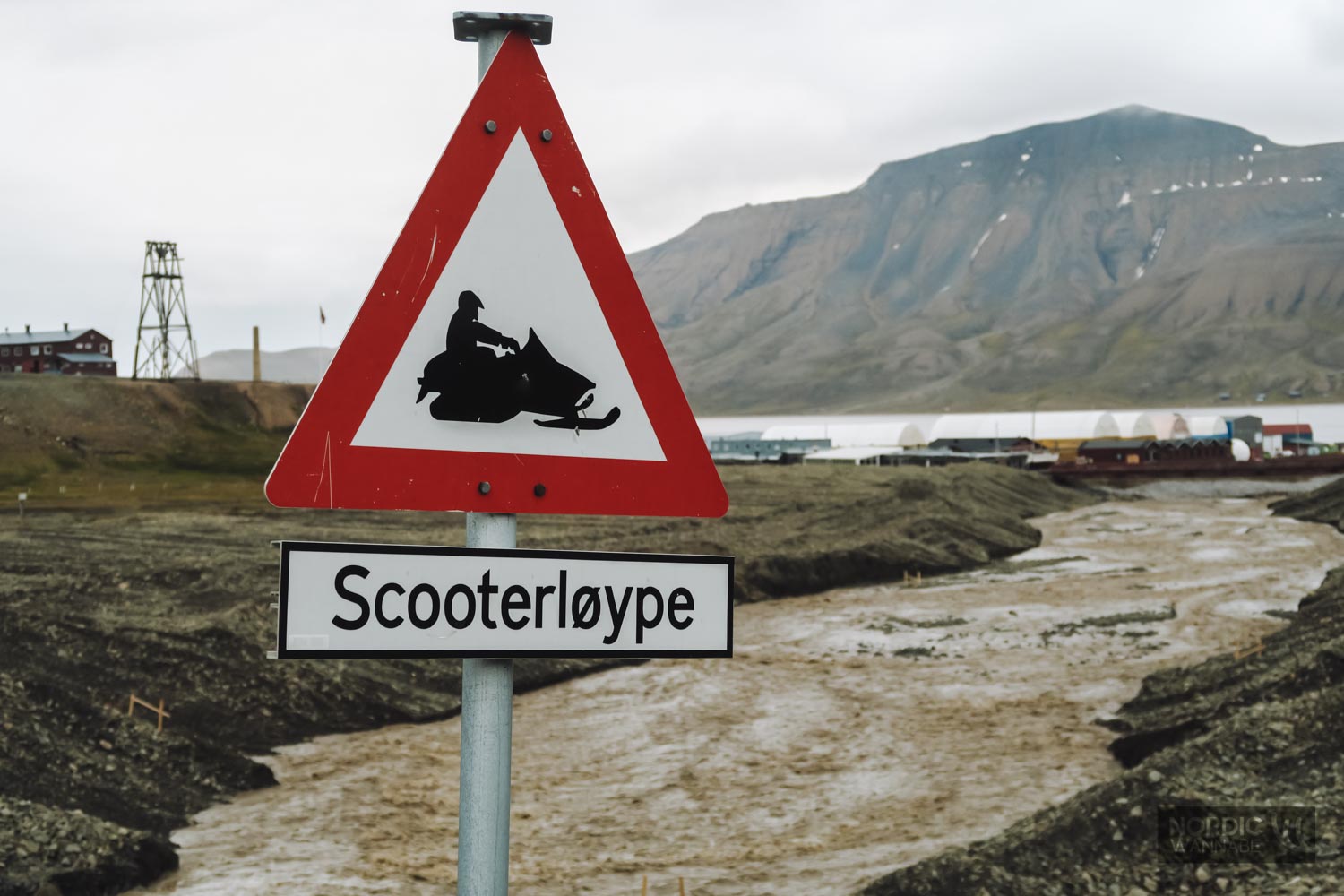 Spitzbergen AIDA Kreuzfahrtschiff Erfahrung